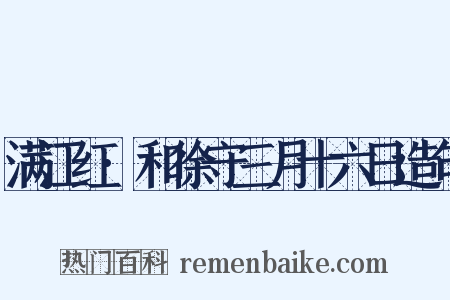 满江红·和徐守三月十六日造句是什么意思的图片